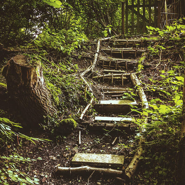 Autumn Art Print featuring the photograph Stairway to the Unknown II #1 by Gemma Knight