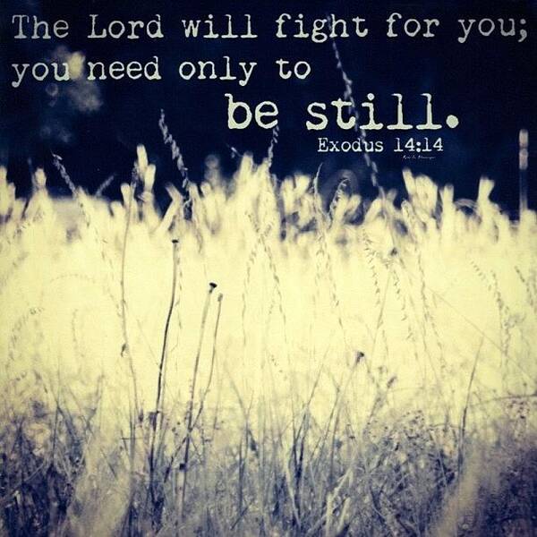 Repost Art Print featuring the photograph the Lord Will Fight For You; You Need #1 by Traci Beeson
