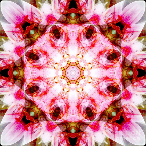 Rainbow Art Print featuring the photograph Lily Mandala by Susan Bloom