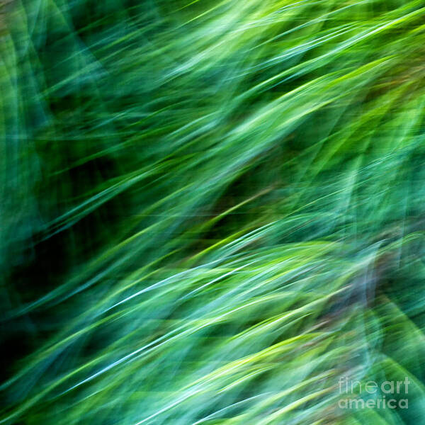 Joanne Bartone Photographer Art Print featuring the photograph Meditations on Movement in Nature #11 by Joanne Bartone