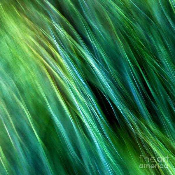Joanne Bartone Photographer Art Print featuring the photograph Meditations on Movement in Nature #16 by Joanne Bartone