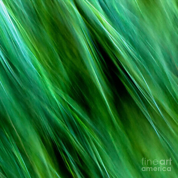 Joanne Bartone Photographer Art Print featuring the photograph Meditations on Movement in Nature #17 by Joanne Bartone
