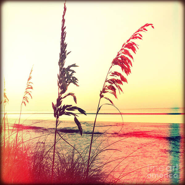 Florida Art Print featuring the photograph Before Day #1 by Chris Andruskiewicz