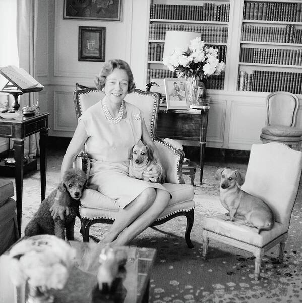 Indoors Art Print featuring the photograph Brooke Astor With Dogs #2 by Horst P. Horst