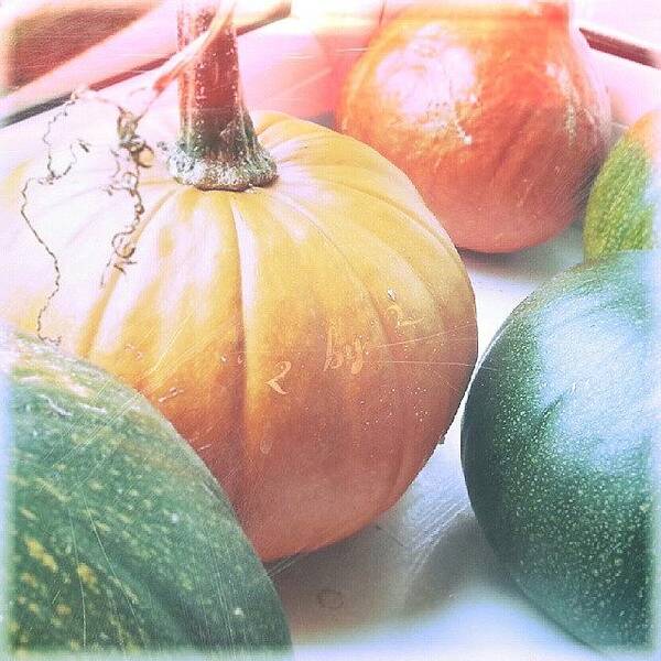 Close_up Art Print featuring the photograph 2 By 2 ... #pumpkins #autumn #fall by Linandara Linandara