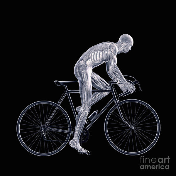 Physical Activity Art Print featuring the photograph Cycling #2 by Science Picture Co