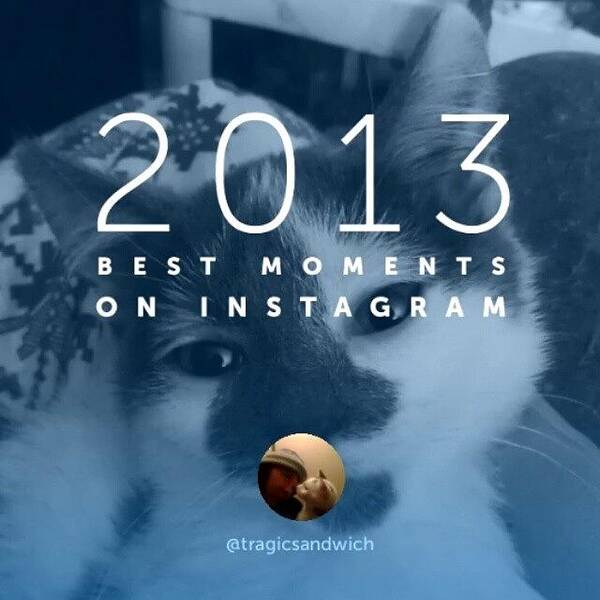 Catstagram Art Print featuring the photograph 2013's Best Moments On Instagram by Haley BCU