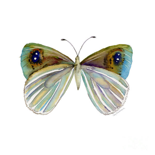 Argyrophenga Art Print featuring the painting 23 Blue Argyrophenga Butterfly by Amy Kirkpatrick