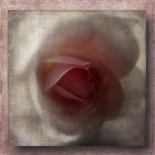 Rose Art Print featuring the photograph 3D Pink Rose by Lynn Bolt