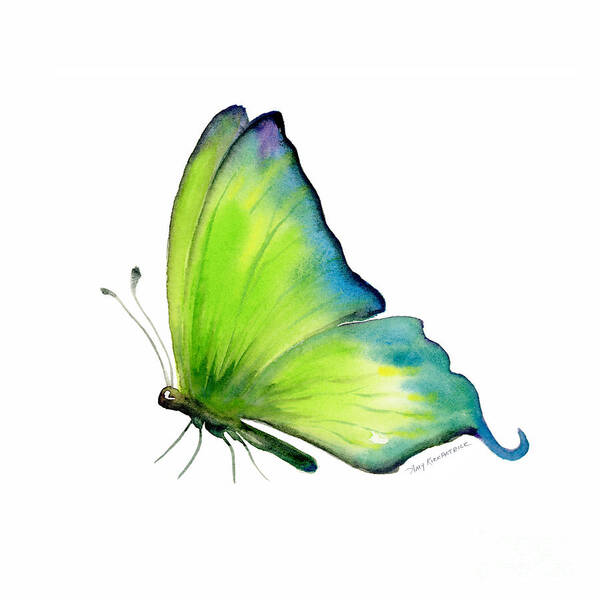 Skip Art Print featuring the painting 4 Skip Green Butterfly by Amy Kirkpatrick