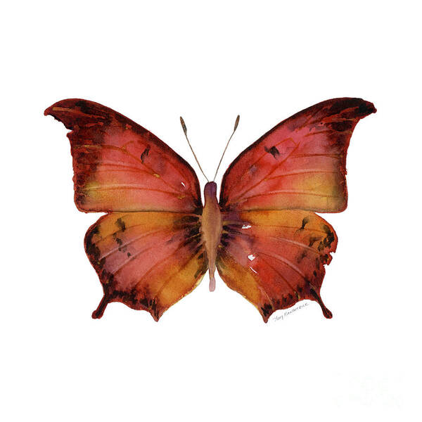 Andria Art Print featuring the painting 58 Andria Butterfly by Amy Kirkpatrick