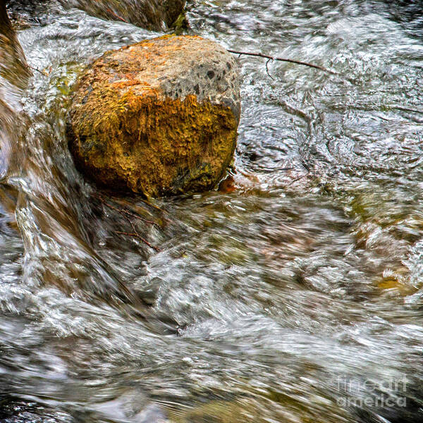 Joanne Bartone Art Print featuring the photograph Holy Waters Of Sedona Az By Joanne Bartone #11 by Joanne Bartone