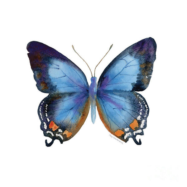 Imperial Blue Butterfly Art Print featuring the painting 80 Imperial Blue Butterfly by Amy Kirkpatrick