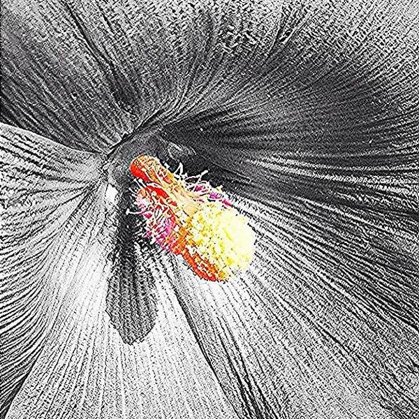 Macro Art Print featuring the photograph Instagram Photo #801369538829 by Jim Neeley