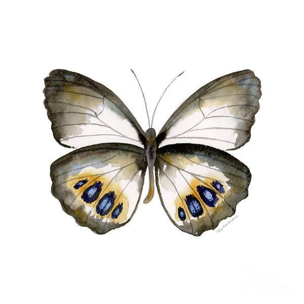 Palmfly Butterfly Art Print featuring the painting 95 Palmfly Butterfly by Amy Kirkpatrick