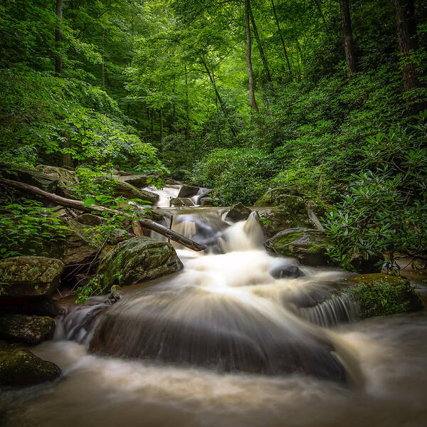 Landscape Art Print featuring the photograph Mountain Stream by Bill Martin