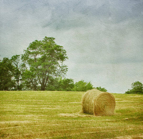 Agricultural Art Print featuring the photograph A Day at the Farm by Kim Hojnacki