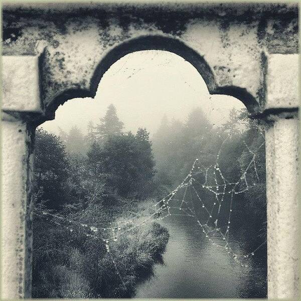 Bridge Art Print featuring the photograph A #gothic #river ... #newtown #powys by Linandara Linandara