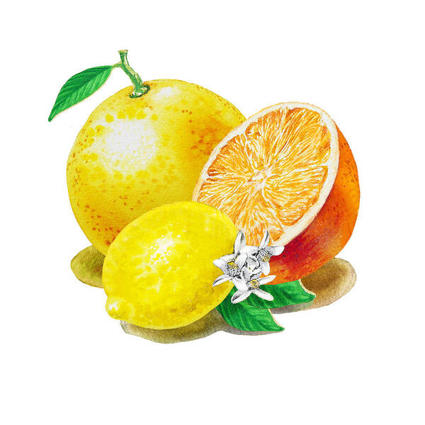 Grapefruit Art Print featuring the painting A Happy Citrus Bunch Grapefruit Lemon Orange by Irina Sztukowski