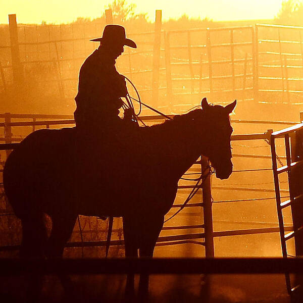 Landscape Art Print featuring the photograph A Long Day by Steven Reed