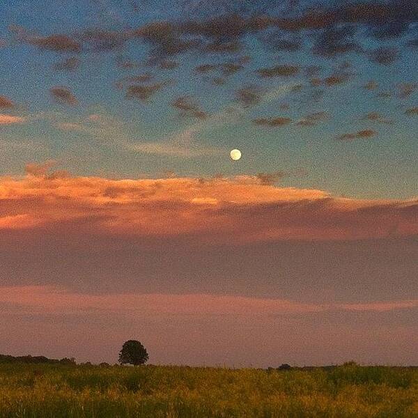  Art Print featuring the photograph A Moonrise Earlier In The Summer. So by Lisa Worrell