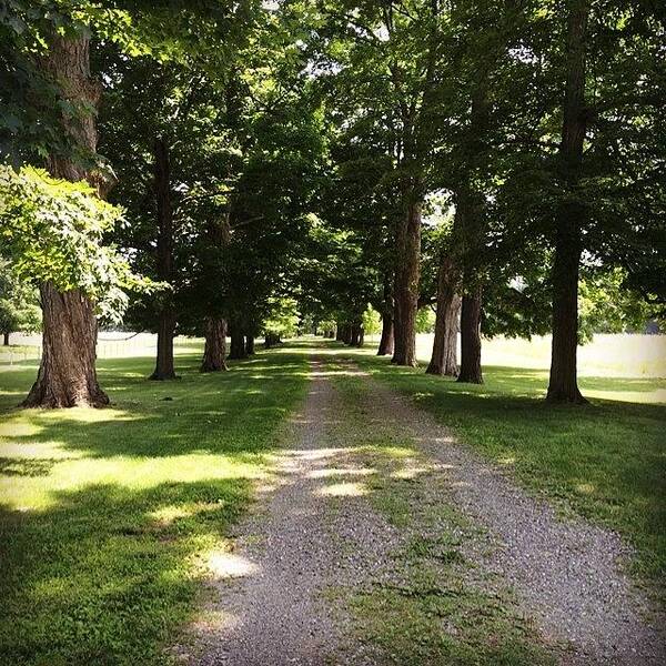 Jj_unitedstates Art Print featuring the photograph A Road Full Of History by Angela Davis