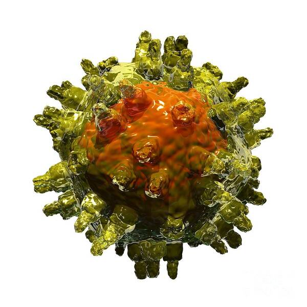 Adeno-associated Virus Art Print featuring the photograph Adeno-associated Virus by Russell Kightley