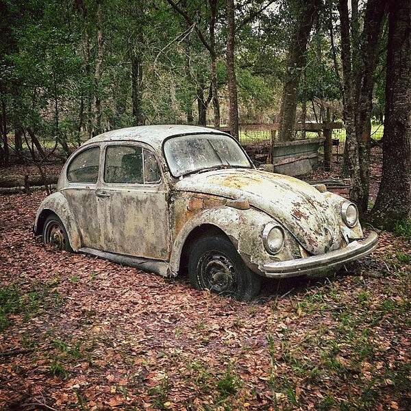 Centralflorida Art Print featuring the photograph An Old Volkswagen Beetle In by Mike S