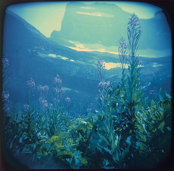 Aquarium Art Print featuring the photograph Aquarium Mountain by Carol Whaley Addassi