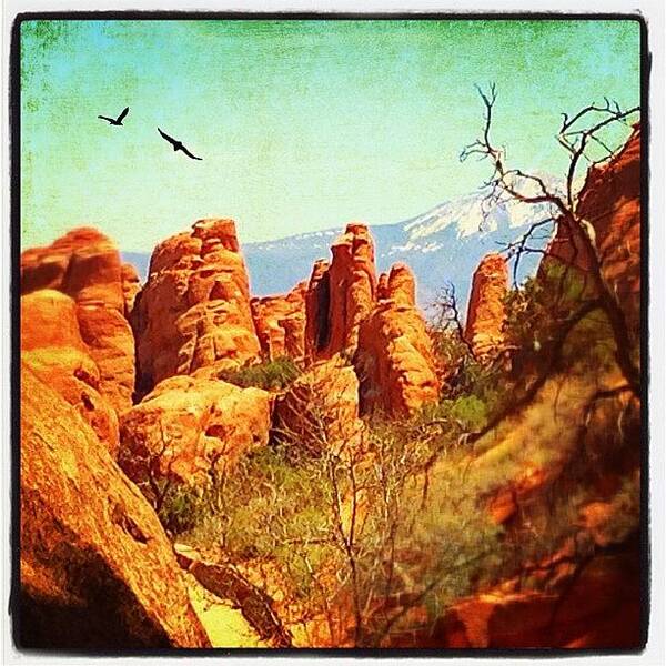 Beautiful Art Print featuring the photograph Arches Np by Jill Battaglia