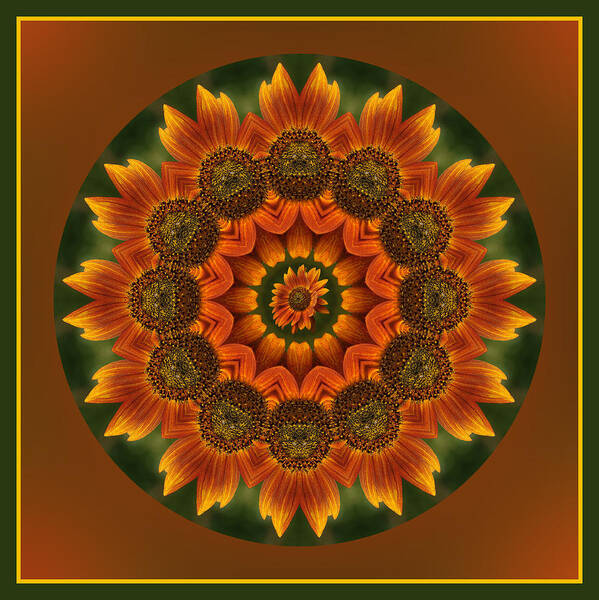 Sunflower Art Print featuring the photograph Autumn Sunflower Kaleidoscope by Liz Mackney