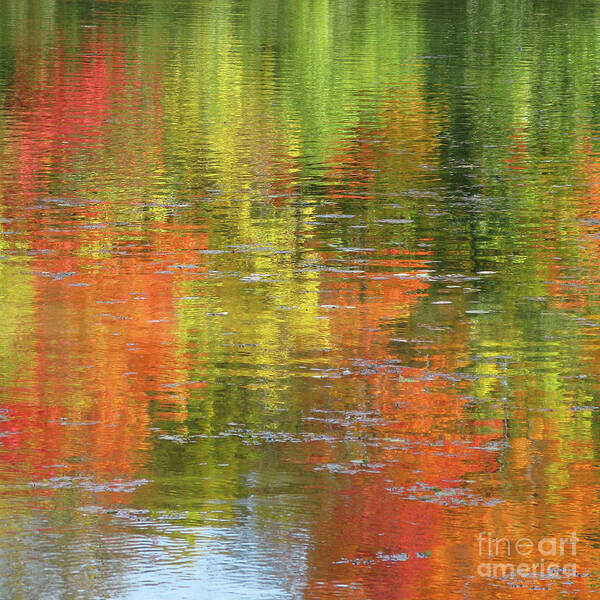 Autumn Art Print featuring the photograph Autumn Water Colors by Ann Horn