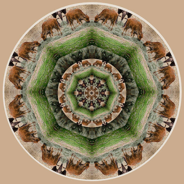 Mandala Art Print featuring the digital art Baby Bison Mandala by Beth Venner