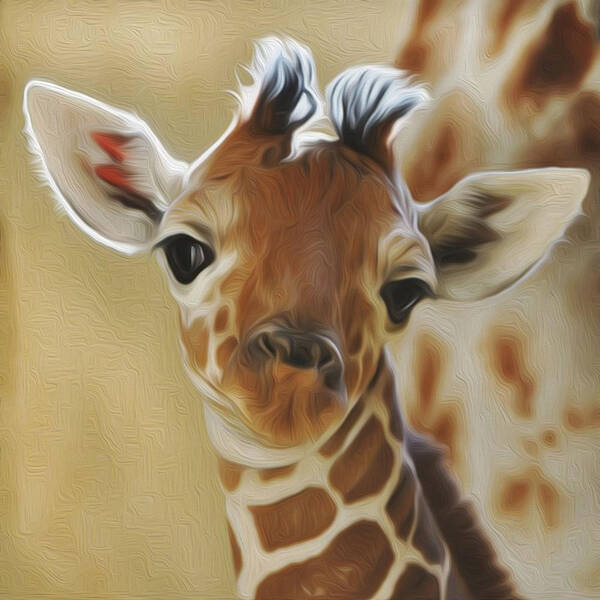 Giraffe Art Print featuring the photograph Baby Zara by Jewels Hamrick