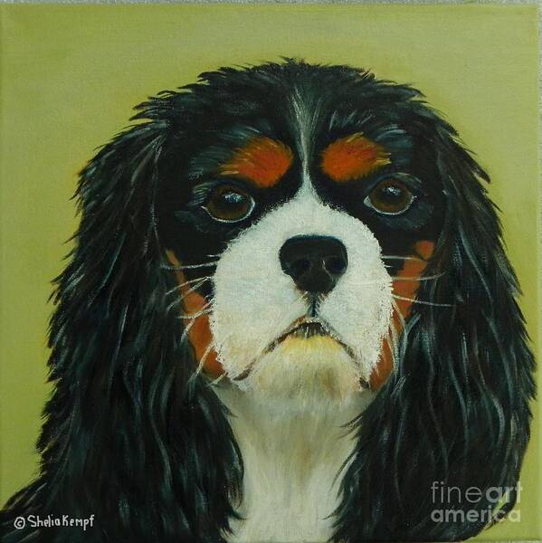 Pet Portraits Art Print featuring the painting Cavalier King Charles Spaniel by Shelia Kempf