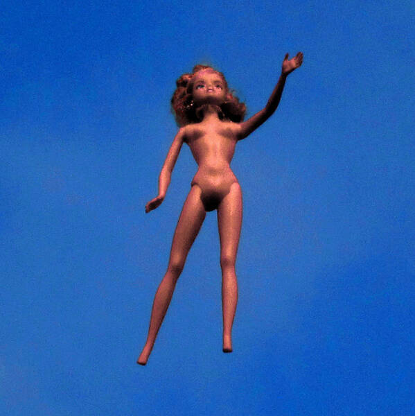  Art Print featuring the photograph Barbie In the Sky by Steve Fields