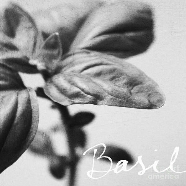 Basil Art Print featuring the mixed media Basil by Linda Woods