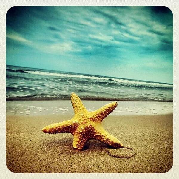 Beach Art Print featuring the photograph #beach #starfish by Samantha Brush