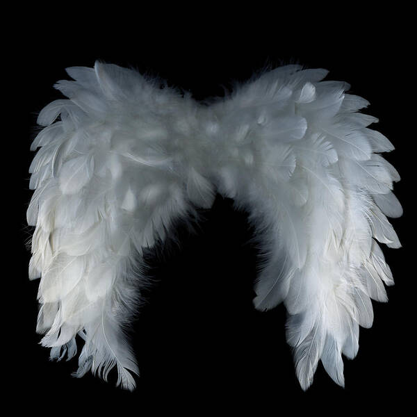 Black Background Art Print featuring the photograph Big Angel Wings by Photograph By Magda Indigo