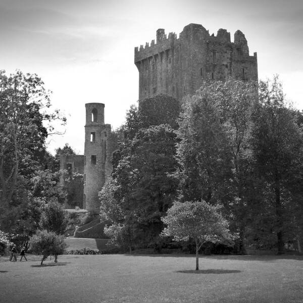 Ireland Art Print featuring the photograph Blarney Castle by Mike McGlothlen