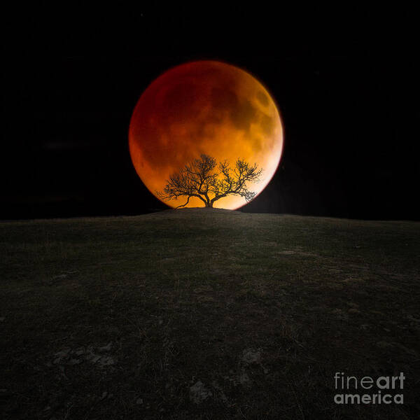 4-15-2014 Art Print featuring the photograph Blood Moon by Aaron J Groen