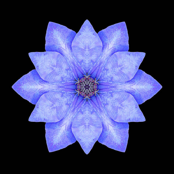 Flower Art Print featuring the photograph Blue Clematis Flower Mandala by David J Bookbinder