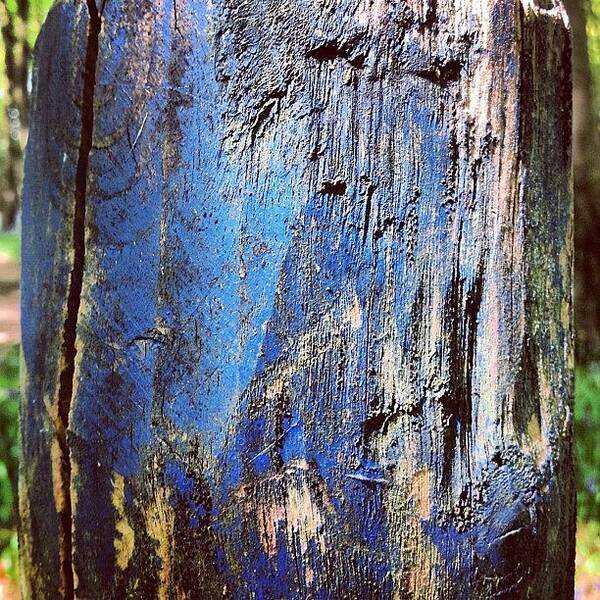 Iccloseups Art Print featuring the photograph Blue Painted Wood #iccloseups #painted by Nic Squirrell