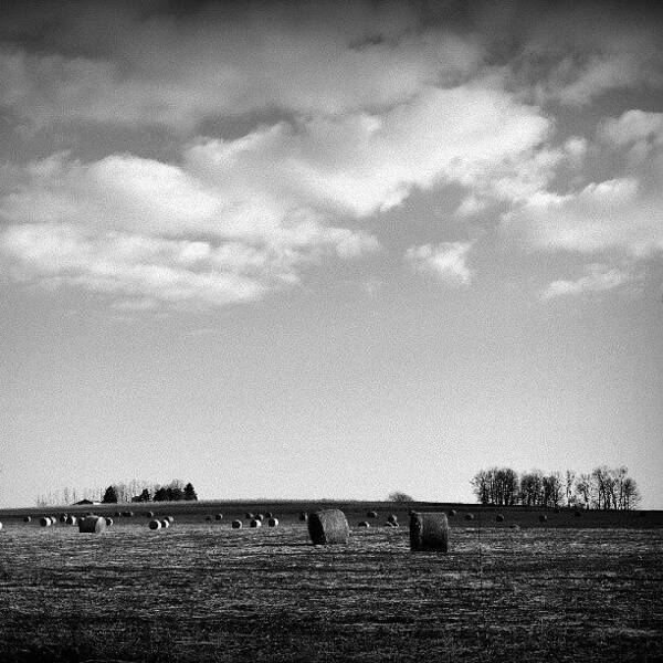 Ic_landscapes_bnw Art Print featuring the photograph Blue Sky In Black & White by Maria Firkaly