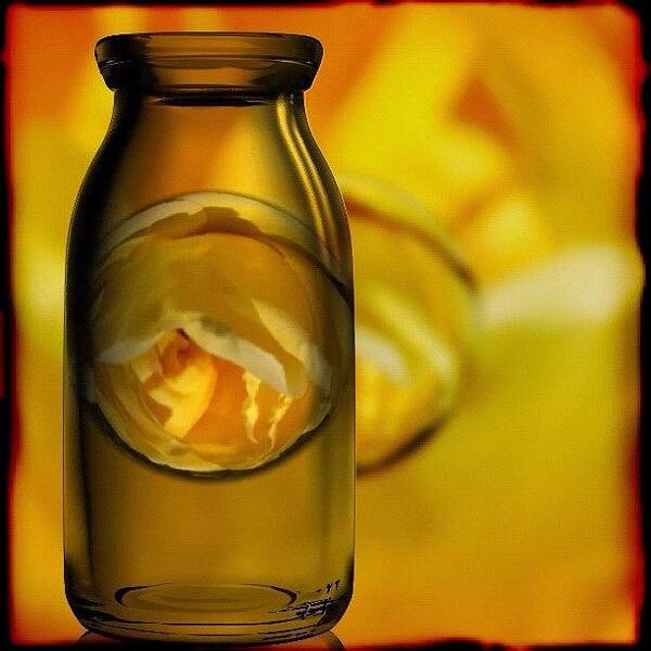 Yellow Art Print featuring the photograph Bottled Yellow Rose Marble by Anna Porter