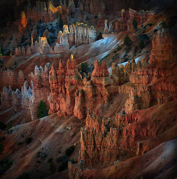 Bryce Canyon National Park Art Print featuring the photograph Bryce Point Bryce Canyon Utah by Gary Warnimont