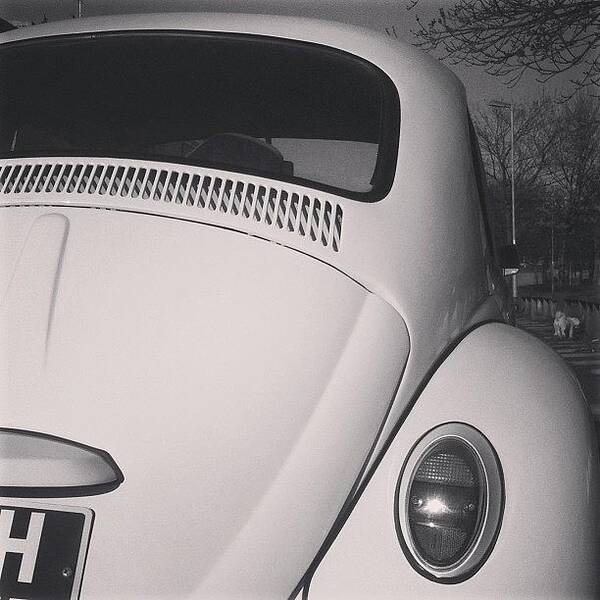 Vw Art Print featuring the photograph Bug Days by Phil Day