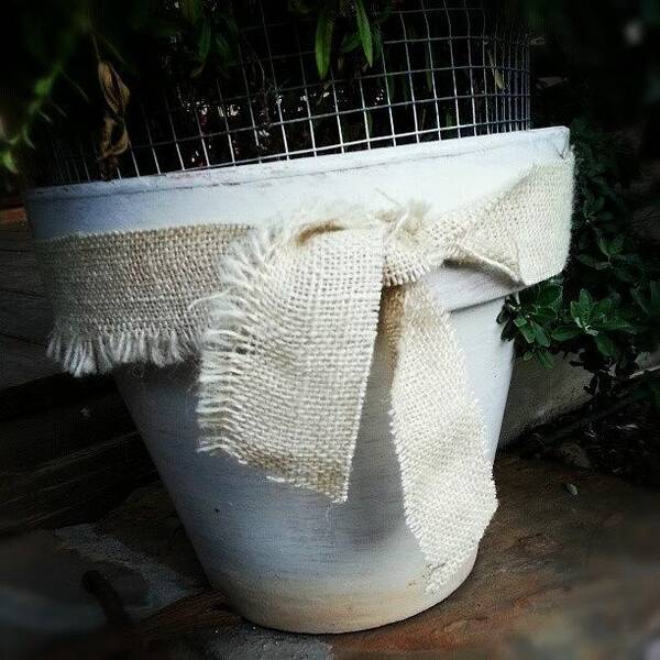 Pot Art Print featuring the photograph Burlap Bow by Blake Kirby
