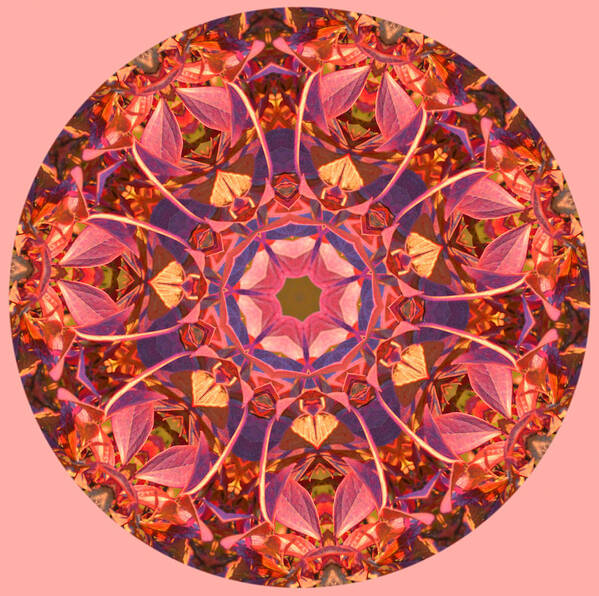 Fall Art Print featuring the photograph Burst of Fall Mandala by Beth Sawickie
