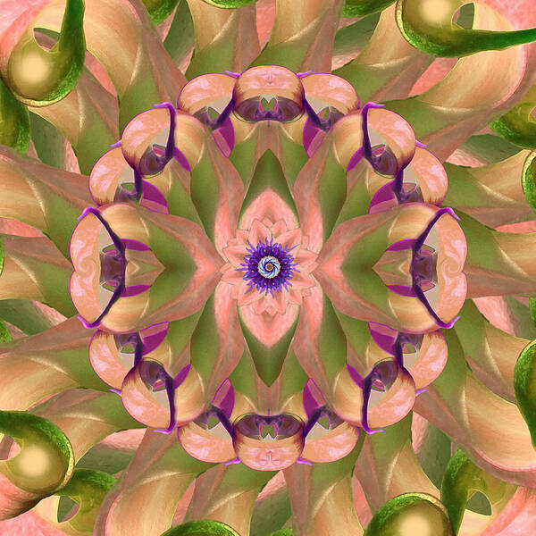 Peach Art Print featuring the digital art Calla Lotus Kaleidoscope by Deborah Smith